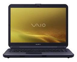 Ноутбук Sony VAIO VGN-NS290J