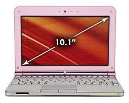 Ноутбук Toshiba NB205-N313