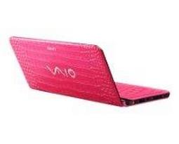 Ноутбук Sony VAIO VPC-P11SKX