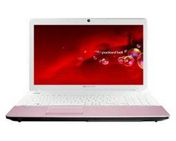 Ноутбук Packard Bell EasyNote TS45 AMD TS45-SB-811RU